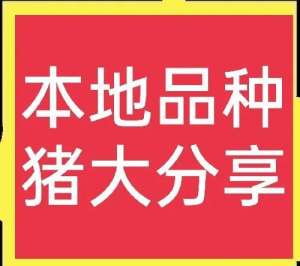 青海黑猪养殖(中国本土品种猪大分享，想养猪的看过来，总有适合你养的品种)