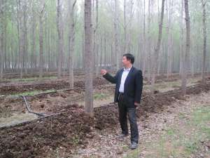 贵阳土元养殖基地(风雨三十“特养路”，念就一篇致富经)