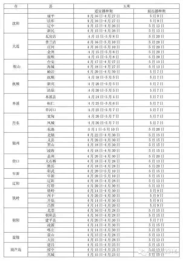 今年玉米不要播种过早！看下辽宁各地播种时间！