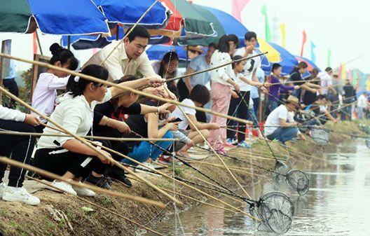 音乐啤酒龙虾节、瓜果定向赛！富阳这个地方要承包7天你的胃