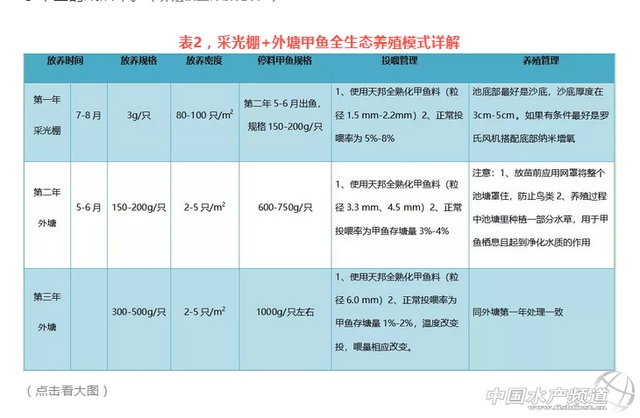 亩利润近3万！新生态养殖模式，让甲鱼养殖再次迎来生机