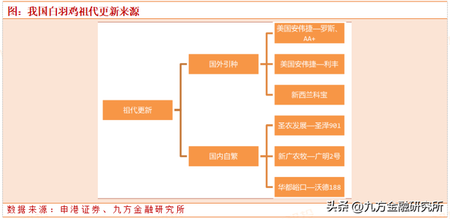 农林牧渔长期投资展望：粮食安全大主题，养殖强周期高赔率