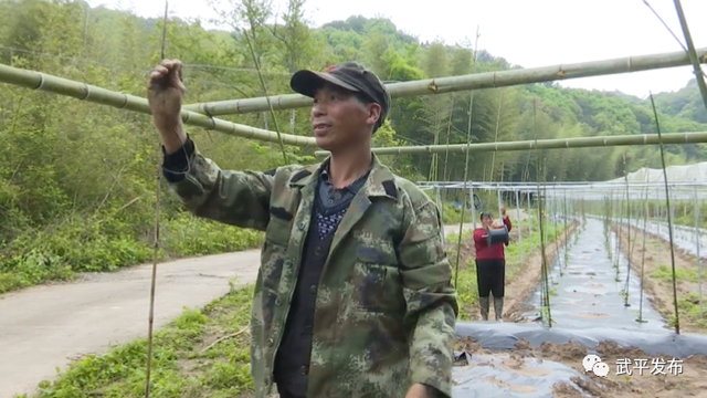 林下生财有道！年入十来万！武平这位脱贫户的生活，有盼头嘞～