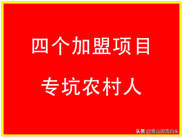 4个加盟骗局，专坑农村人，有多少赔多少，创业的朋友要小心