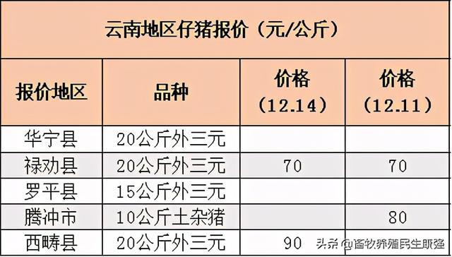 「报价」2020年12月14日西南地区生猪、仔猪、鸡蛋价格