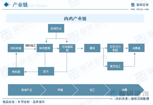 【前景趋势】一文读懂2023年肉鸡养殖行业未来发展前景