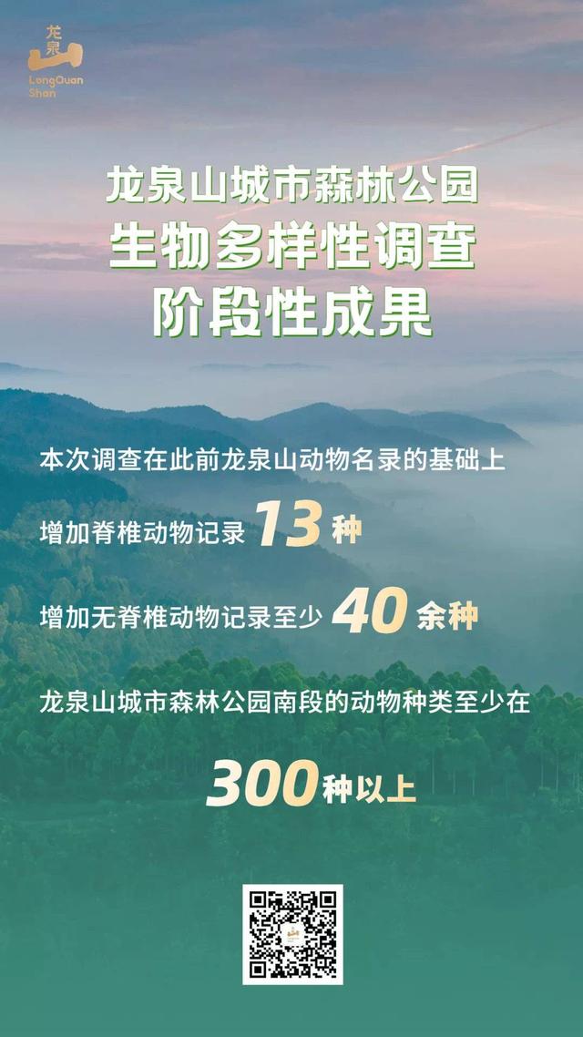 龙泉山森林公园生物多样性调查又有新发现 新增白及、豆瓣兰及13种脊椎动物