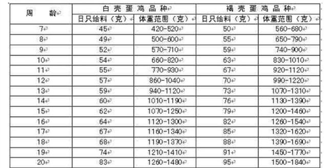 养鸡技术｜蛋鸡育成期的饲养管理