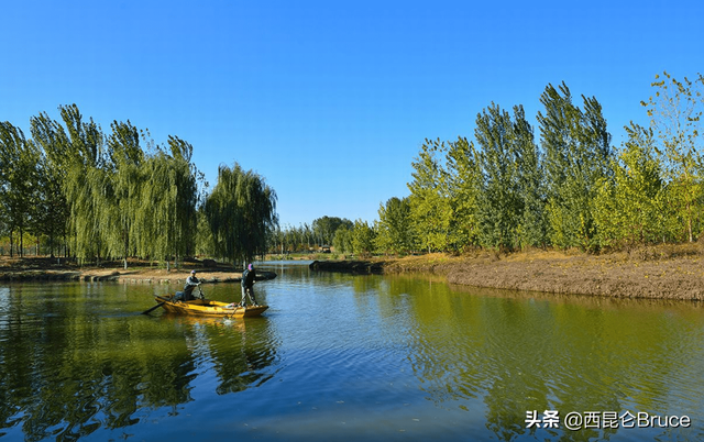 山东火了！中华鳑鲏时隔60年重现小清河，对水质要求高、很稀有