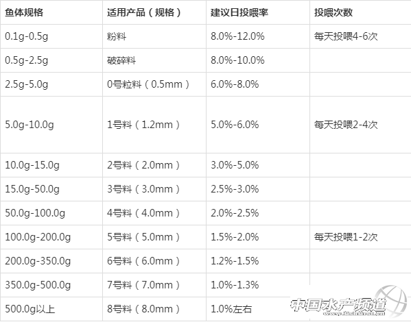 加州鲈全程饲料养殖可行吗？其技术要点有哪些？