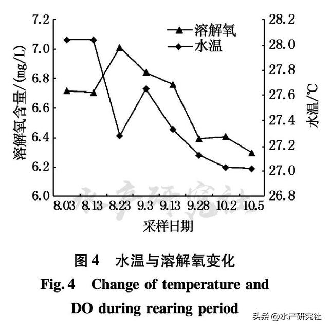 为您详解温室池塘高密度循环水养殖系统构建以及收益是否可观！