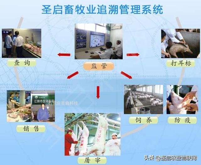 畜牧养殖的日常养殖的主要功能