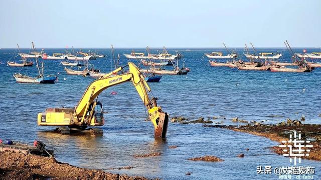 实地探访，大连“海上春耕”正忙