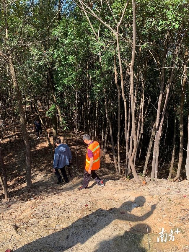 探访梅州蕉岭自然保护区｜珍稀濒危物种频“出镜”，砍树人变看林人