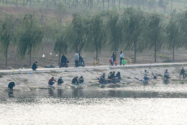 冬钓大板鲫，选漂不要花冤枉钱，这几种漂型最常见，也最好用