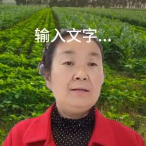 农广天地种植水果玉米(大豆玉米带状复合种植苗后茎叶化学除草@农广的作品)