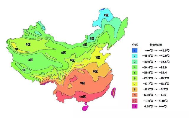 你家藤本月季耐寒或耐热吗？一文搞懂藤本月季地栽的基本要求