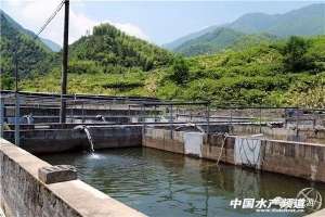 淡水养殖实用技术(赛车与养鱼有啥关系？附淡水石斑鱼养殖技术)