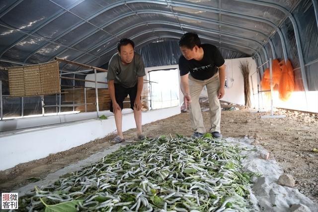 小山村发展桑蚕养殖，村民尝到甜头热情高：干一个月能挣上万元