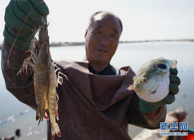 河北曹妃甸：生态混养促增收