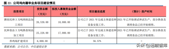 专注白鸡养殖，民和股份：景气上行，商品代雏鸡业务蓄势待发