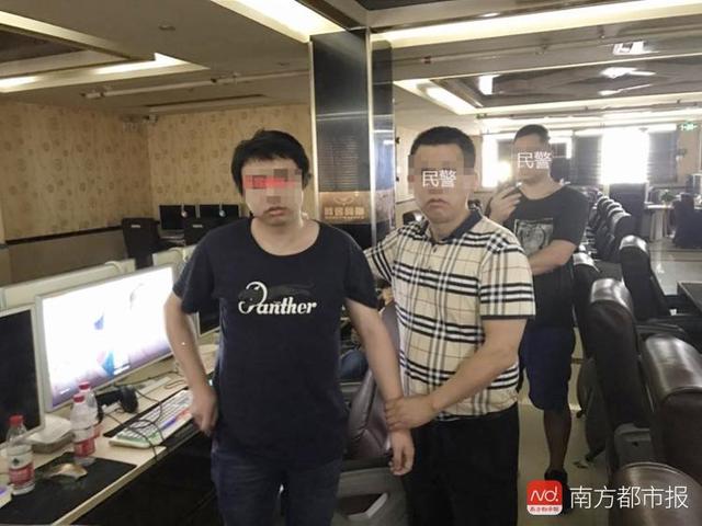 广州番禺5盗贼专偷鸡鸭鹅！凌晨作案，偷了超千只上十万元家禽