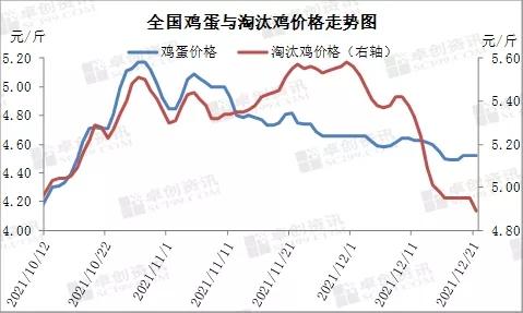 春节前淘汰鸡价格或上涨乏力