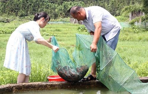 脱贫攻坚丨小龙虾“驻村”脱贫有盼头