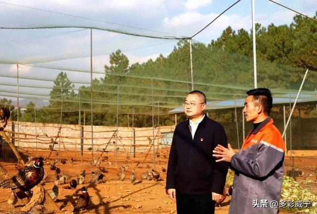 贵州威宁：起飞在小山村里的“七彩”梦想