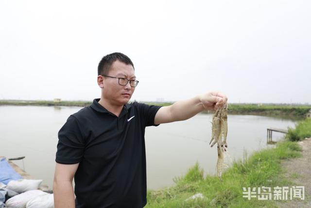 开海寻鲜记②｜海水养殖，青岛秘笈“惊动”农业农村部