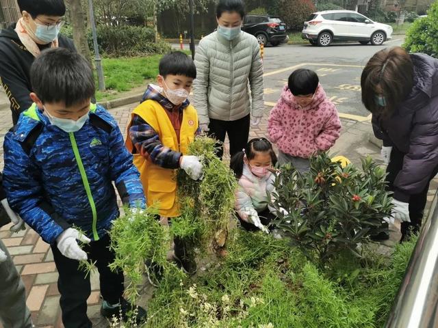 小花园让社区“靓”起来！宝山这里开展亲子种植活动