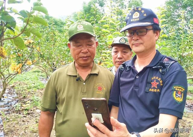 创业老兵用短视频拓宽销路，为青花梨“代言”