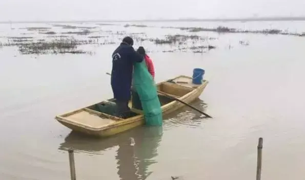 水产养殖怎样(“救人还是救螃蟹？”—— 疫情下，水产养殖还能熬多久？)