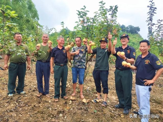 创业老兵用短视频拓宽销路，为青花梨“代言”