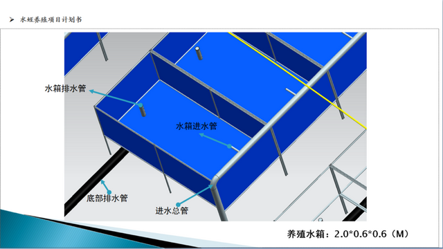 蚂蟥1斤1600，为何贵？我曾养殖一年，亏了11万，刷新对这行认知