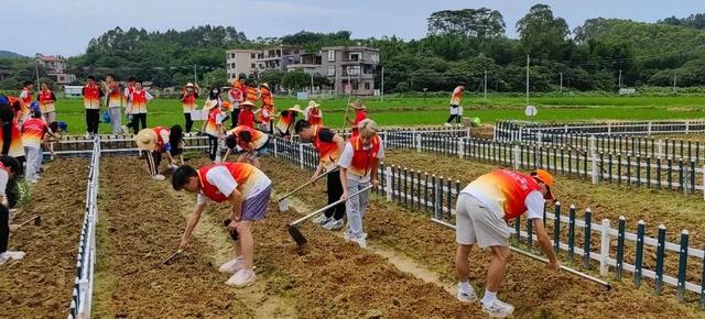 户外露营、水果采摘……增城这个农场藏着你的“田园梦”