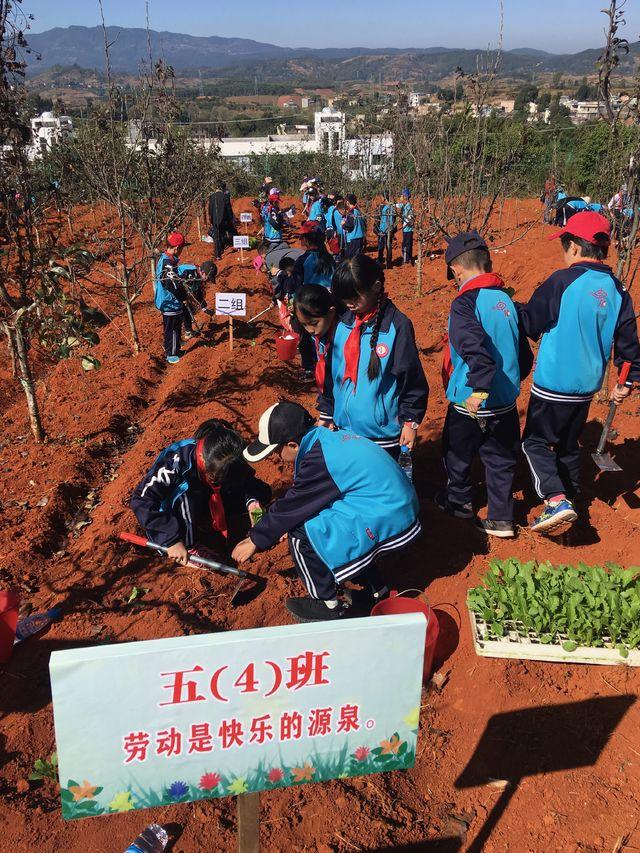 昆明推出校外劳动教育基地 将课堂搬到田间