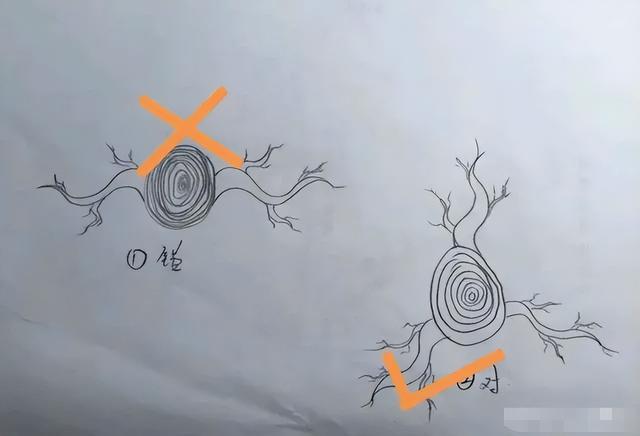 大树型盆景精品欣赏与培育方法