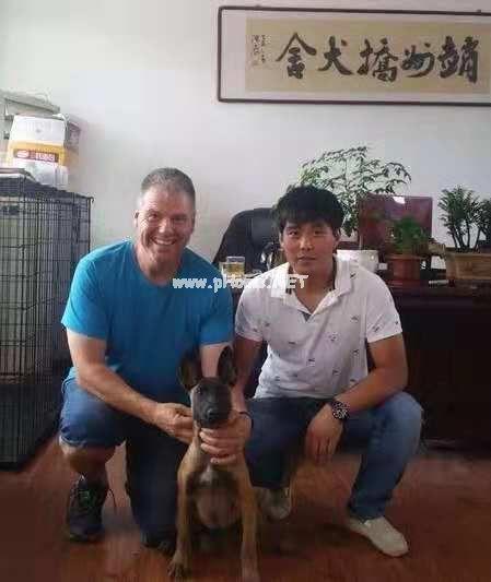 河北赵州桥犬业李浩：忠诚能长久，实在才常在（图文）