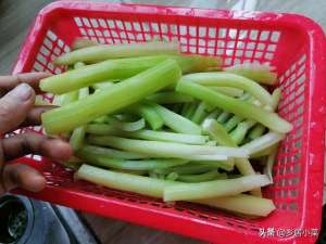 油麦菜夏季种植技术(秋冬怎么种油麦菜吃肉质茎？施肥养根、培土、转移害虫目标等管理)