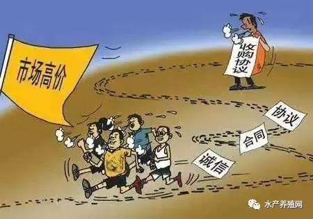 零下15度还能正常生长，养成后还保底15块回收？这个黄颡鱼苗那么神？