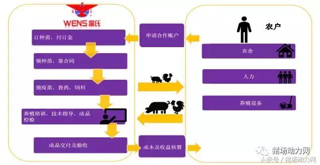 除了温氏，还有新好、雏鹰模式，原来“公司+农户”有这么多玩法