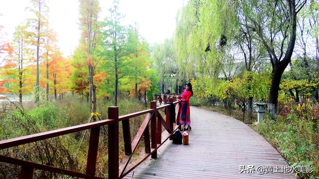 免费游览这个占地近千亩，水禽动物千余只的城市游园，感觉甚好