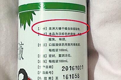 蟑螂登上《自然通讯》，四川这家养殖场每年养60亿只