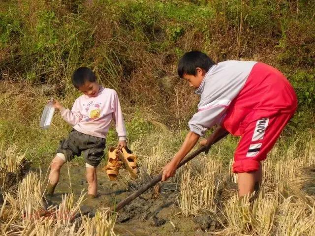 还在花式吃竹鼠？这波赣南人的“土味记忆”你还记得多少？