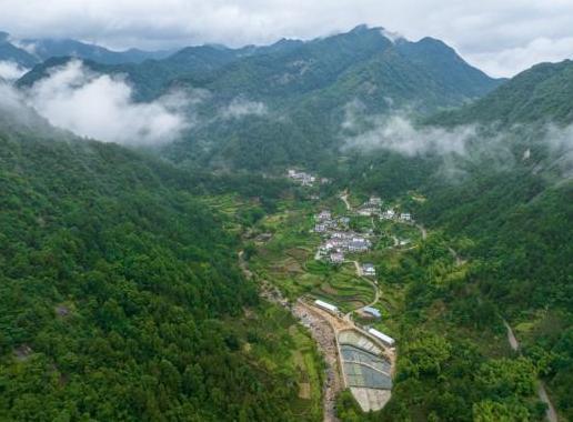 共同富裕新实践｜养殖塘建在大别山区 帮老区乡亲走上共富路