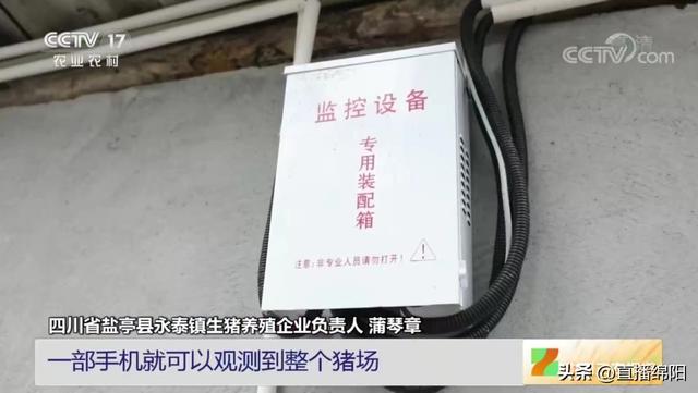 出圈了！绵阳生猪养殖经验被央视分享