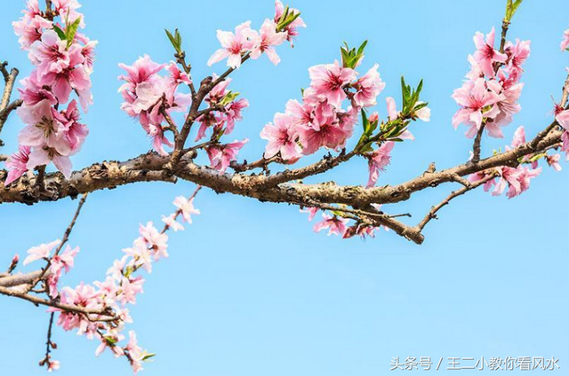 从风水学角度来看看有镇妖祛邪作用的常见物品