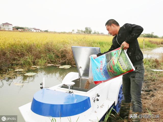 稻虾生态综合种养技术，五点关键步骤必须要掌握