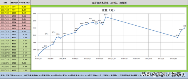 蚂蟥1斤1600，为何贵？我曾养殖一年，亏了11万，刷新对这行认知